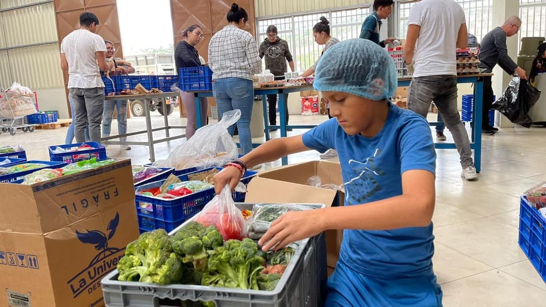 Voluntarios clasificando alimentos
